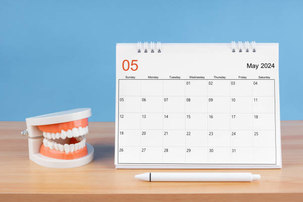 istock May monthly desk calendar for 2024 year and model dentures on the table. 1961430613