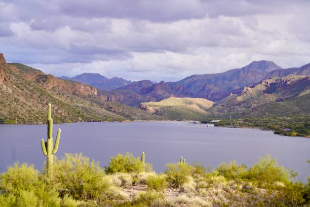 Late January along Canyon Lake, just outside Phoenix, Arizona.
