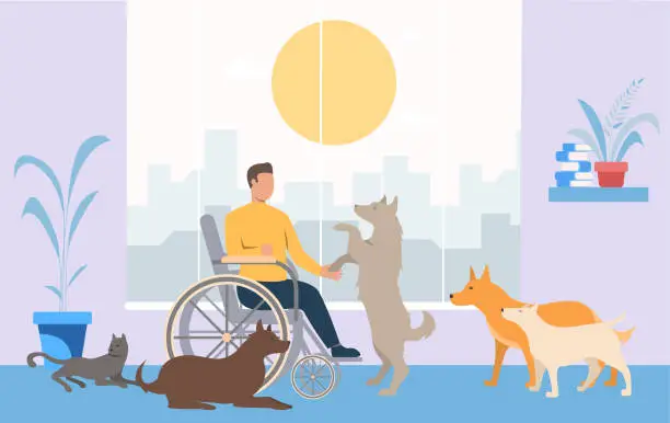 Vector illustration of Man in wheelchair playing with dogs