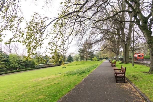 istock A Peaceful Walk Through the Green Park 1961474981