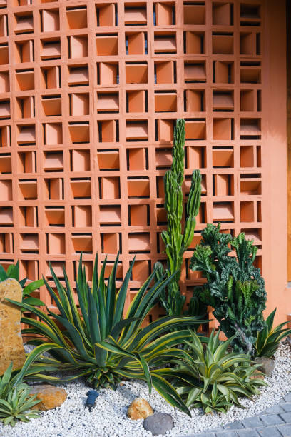 istock Succulent plants and cactuses in front of an orange geometric patterned wall 1961534992