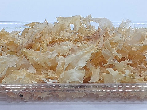 Dried snow fungus (Tremella fuciformis), a white-colored fungi used for food and medicine, photographed from various angles and compositions.