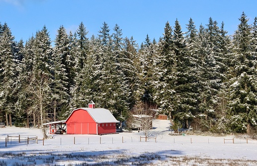 Small red barn covered in fresh snow near Olympic National Park