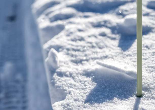 Sidewalk with edge markers used for snow blowing guides
