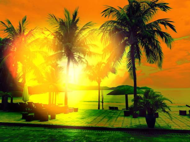 Romantic landscape. Breathtaking sunset scenery. Tropical garden on red sunset background. Beauty beach nature. Travel card. Vintage coloring effect