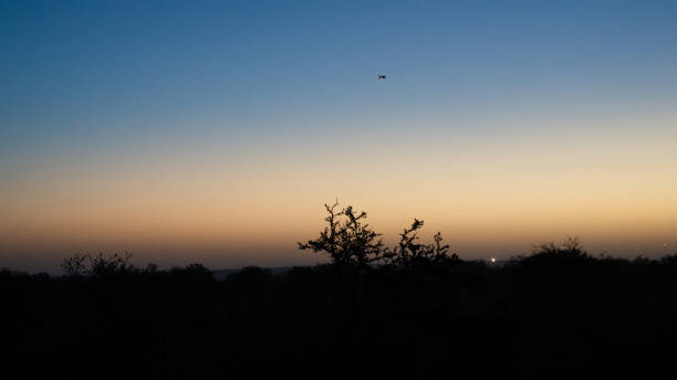 istock Surveillance Balloon at Sunrise 1961619006
