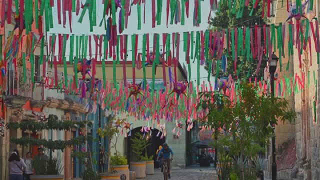 Festive Oaxaca: Christmas Magic on the Streets