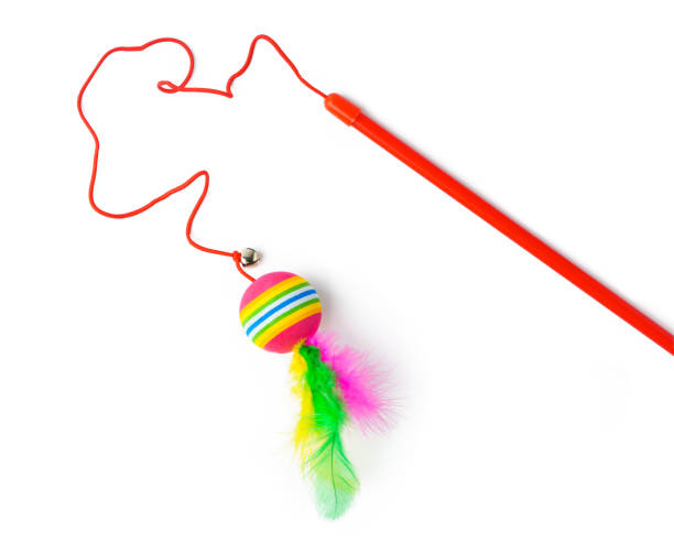 Cat toys isolated on white background studio shot