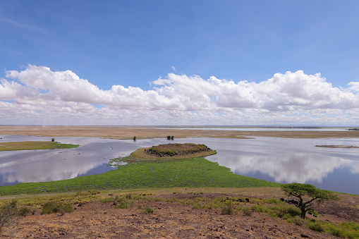 fantastic lake landscape of Amboseli NP