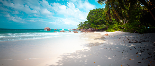 Vacation summer holidays background wallpaper - sunny tropical Caribbean paradise beach with white sand on island Thailand style with palms