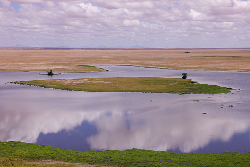 fantastic lake landscape of Amboseli NP