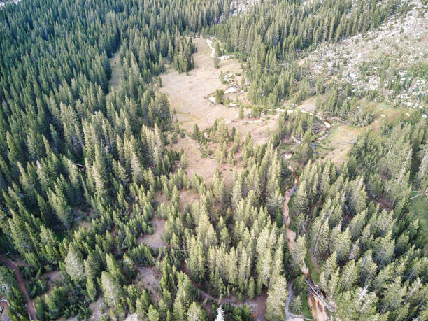 istock a bird's eye view of a valley in the wilderness 1961780717
