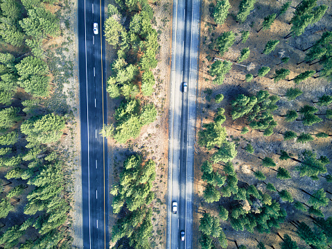 Highway cutting through a dense forest with long, winding roads