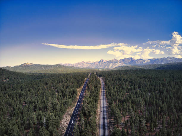 istock an aerial view of an empty highway through pine trees in a mountain forest 1961780795