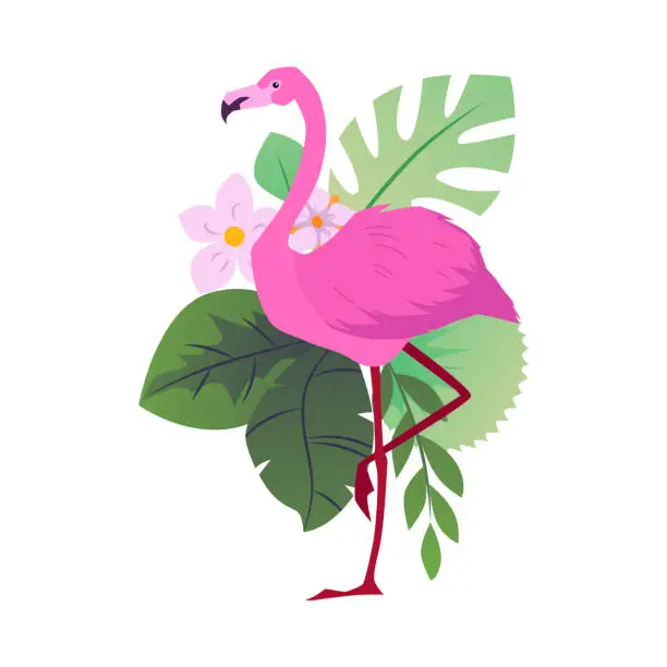 Vector illustration of Beautiful flamingo on tropical flora, vector exotic flamingo bird with pink feather, plumage and long legs and neck