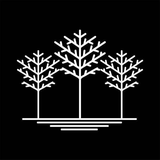 나무, 식물, 정원, 숲, 선, 윤곽선, 삽화, 디자인 벡터 - villa rinaldi stock illustrations