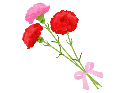 Carnation bouquet_red pink