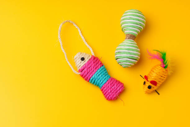 istock Pet toys on yellow background studio shot 1961810594