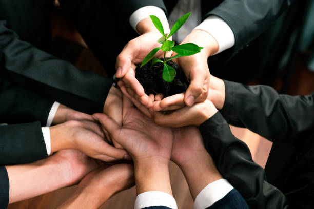 istock Eco-friendly business investment on forest regeneration. Quaint 1961834143
