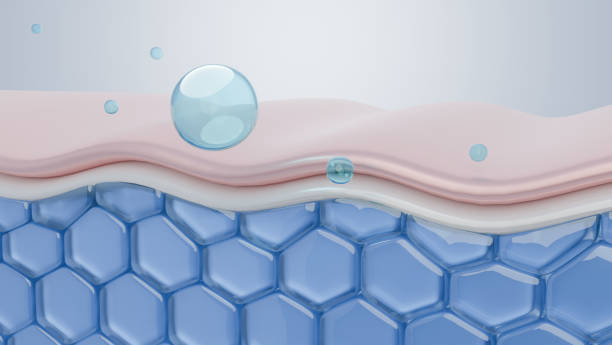 istock Moisturizer and skin collagen 1961860806