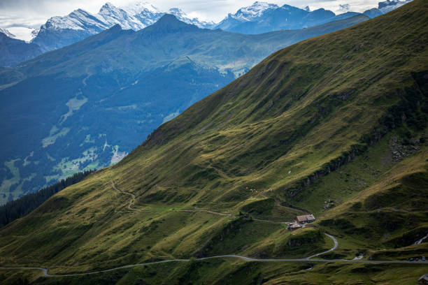 A scenic view of a path leading to the mountain peak