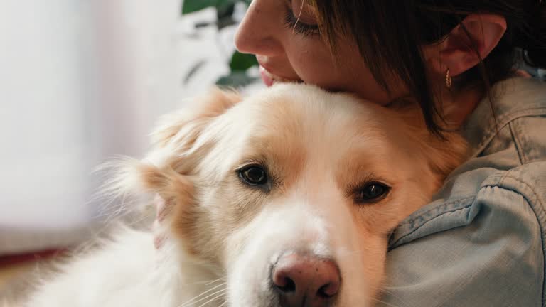 Love, hug and woman with dog in a house for bonding, support or protection closeup. Animal, trust and female person embrace pet puppy at home with comfort, relax and affection while chilling together