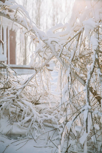 Winter Landscape in Harbin,China