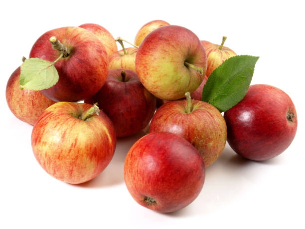 istock Red wild Apples - Fruits on white Background - Isolated 1961959137