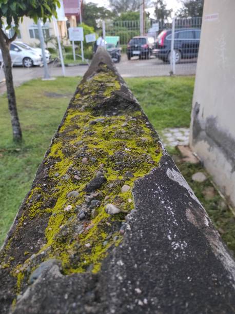 istock concrete walls, stone walls, mossy and weathered by time 1961976136