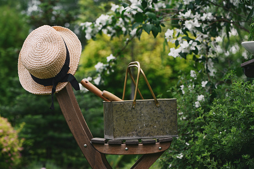 garden tools in box and straw on wooden chair with blooming Sweet Mock-orange on background