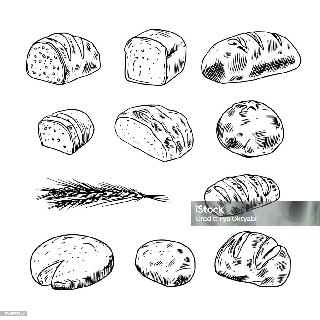 Bread Line Vector Bread Set Hand Drawn Style Line Art Vector Black Color Realistic Doodle ...