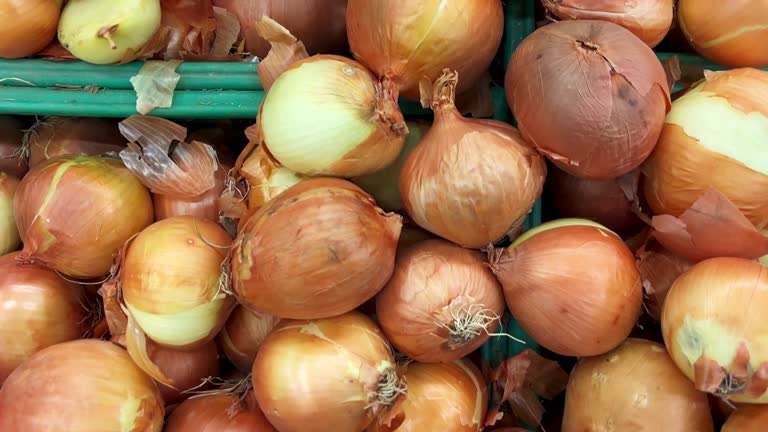 onions 4k stock video