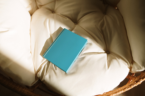 A blue book on a sofa