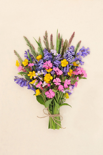 Spring wildflower posy on hemp paper with bluebell, red campion, buttercup and nemesia flowers with wild meadow grass. Floral Beltane nature composition of natural British flowers.