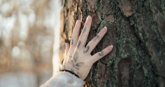 A woman's hand is on the trunk of a tree. Part of a series where a woman is hiking through a sunny winter landscape in Sweden. A solo hiking trip to get away from it all and really connect with nature.