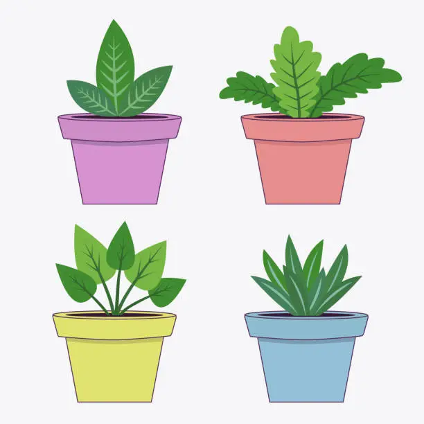 Vector illustration of House plant set. Flower pot collection. Green leaves plants in pots. Interior houseplants in planters, baskets. Cute cartoon card. White background. Isolated. Flat design.