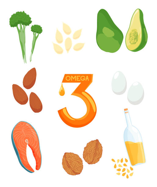 infographics foods with the highest content of omega-3. healthy heart and cardiovascular system. healthy lifestyle. balanced diet. basics of healthy nutrition. illustrative scheme - omega three stock illustrations