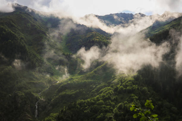 A captivating photo of mountain peaks partially hidden by a thick blanket of clouds in Castilla y León. The silhouettes of the mountains rise through the mist, creating an atmosphere of mystery and grandeur. The contrast between the dark contours of the land and the softness of the clouds highlights the sense of elevation and remoteness.