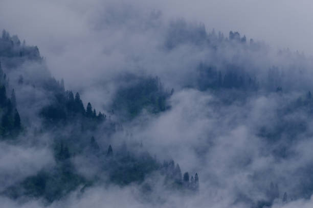 istock foggy forest, plateaus, high mountains 1962124072