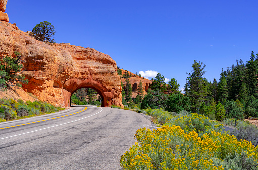 Red Canyon National Park Utah Road Tunnel