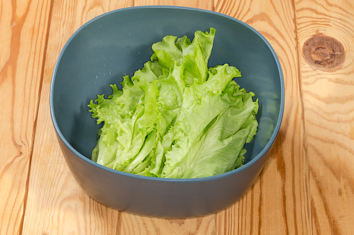 Fresh washed leaves of green lettuce in the plastic blue-gray kitchen bowl on a rustic table