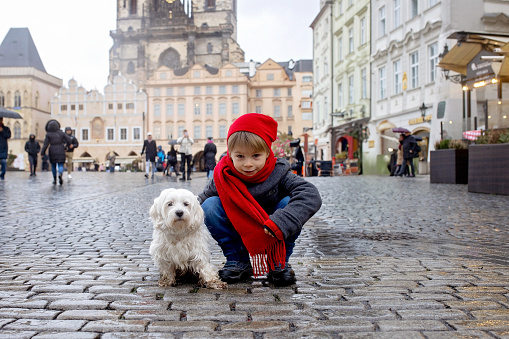 Child in the center of Prague, eating traditional czech dessert trdelnik in the city center