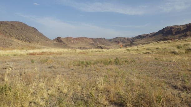 istock the grassland is a big habitat on earth 1962216680