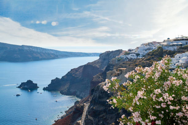A breathtaking photo capturing a sunny summer day, with a vivid blue sea and a sky dotted with white clouds. The foreground features blurred pink bougainvillea flowers and palm trees, creating a natural frame that enhances the serene and tropical vacation atmosphere.