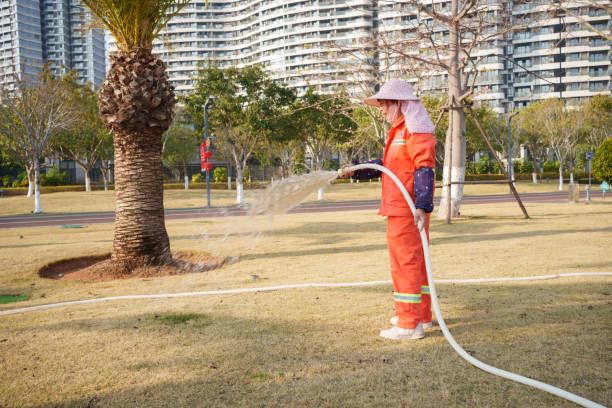 Gardener watering the grass