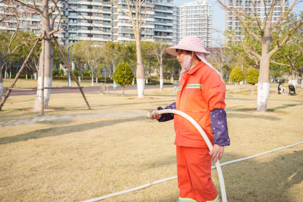 Gardener watering the grass