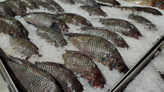 Fresh bright-eyed fish sprinkled with ice from the sea of ​​Thailand sold in a Bangkok supermarket.