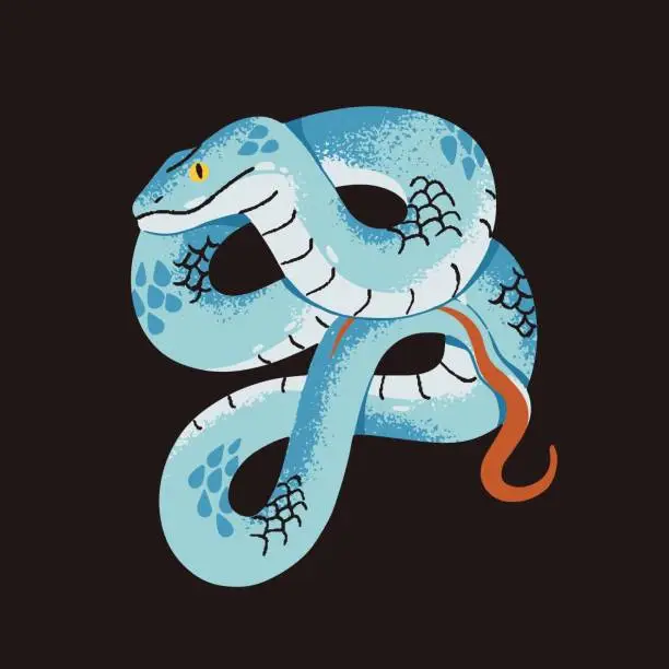 Vector illustration of White lipped pit or tree viper. Poisonous snake with blue patterned scale. Tropical serpent, venomous reptile. Exotic cold blooded animal. Dangerous jungle fauna. Flat isolated vector illustration