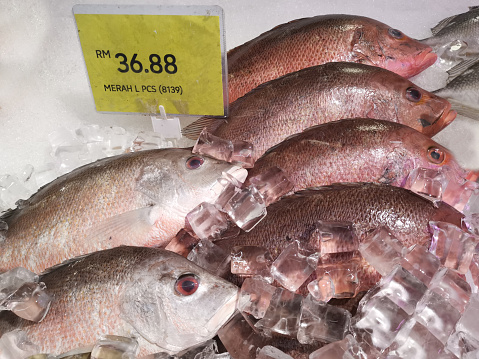 Supermarket situation - fresh fish in ice bath