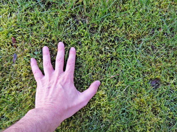 istock Contact of human beings with nature 1962322015